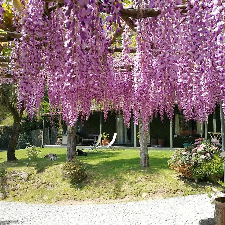 Casas Da Tapada Briteiros Casa Do Espigueiro * Guimarães