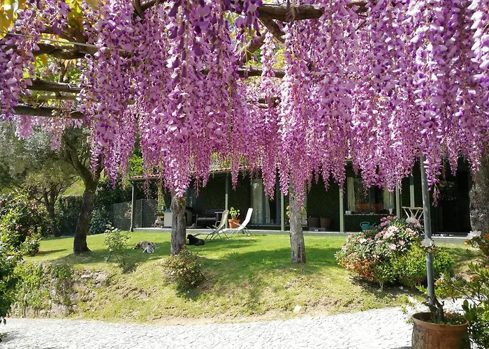 Casas Da Tapada Briteiros Casa Do Espigueiro * Guimarães